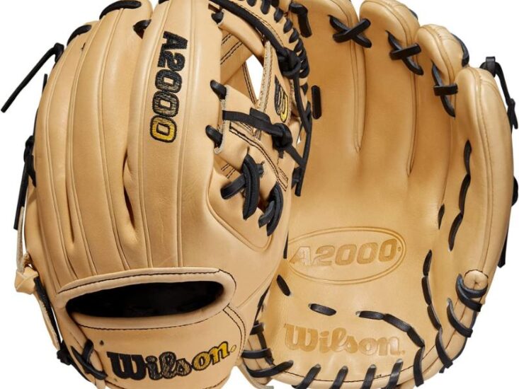 Wilson Baseball Gloves A2000 Reviews to Check in 2023