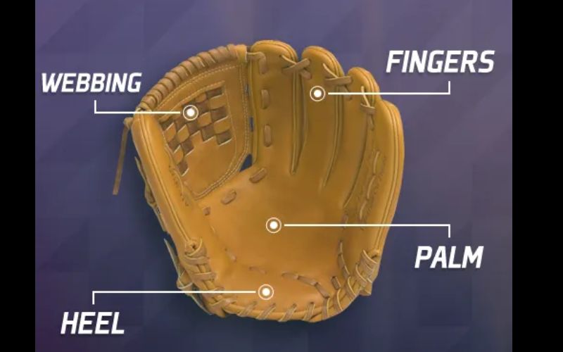 What is the Sizing Guide for Youth Baseball Gloves?